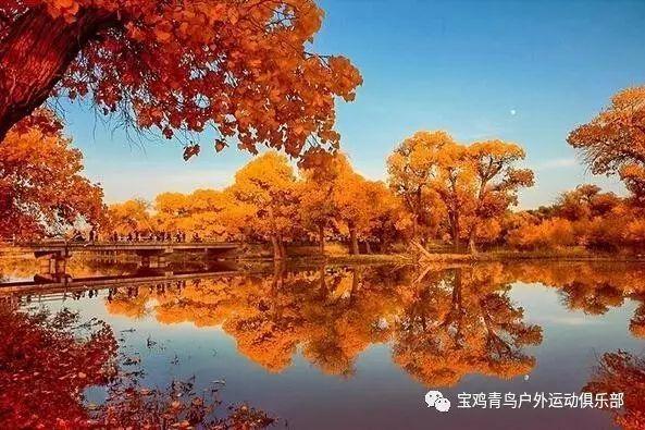 探秘吉鹿力问答社区,解锁男生叫我小憨憨什么意思啊?的奇妙世界!